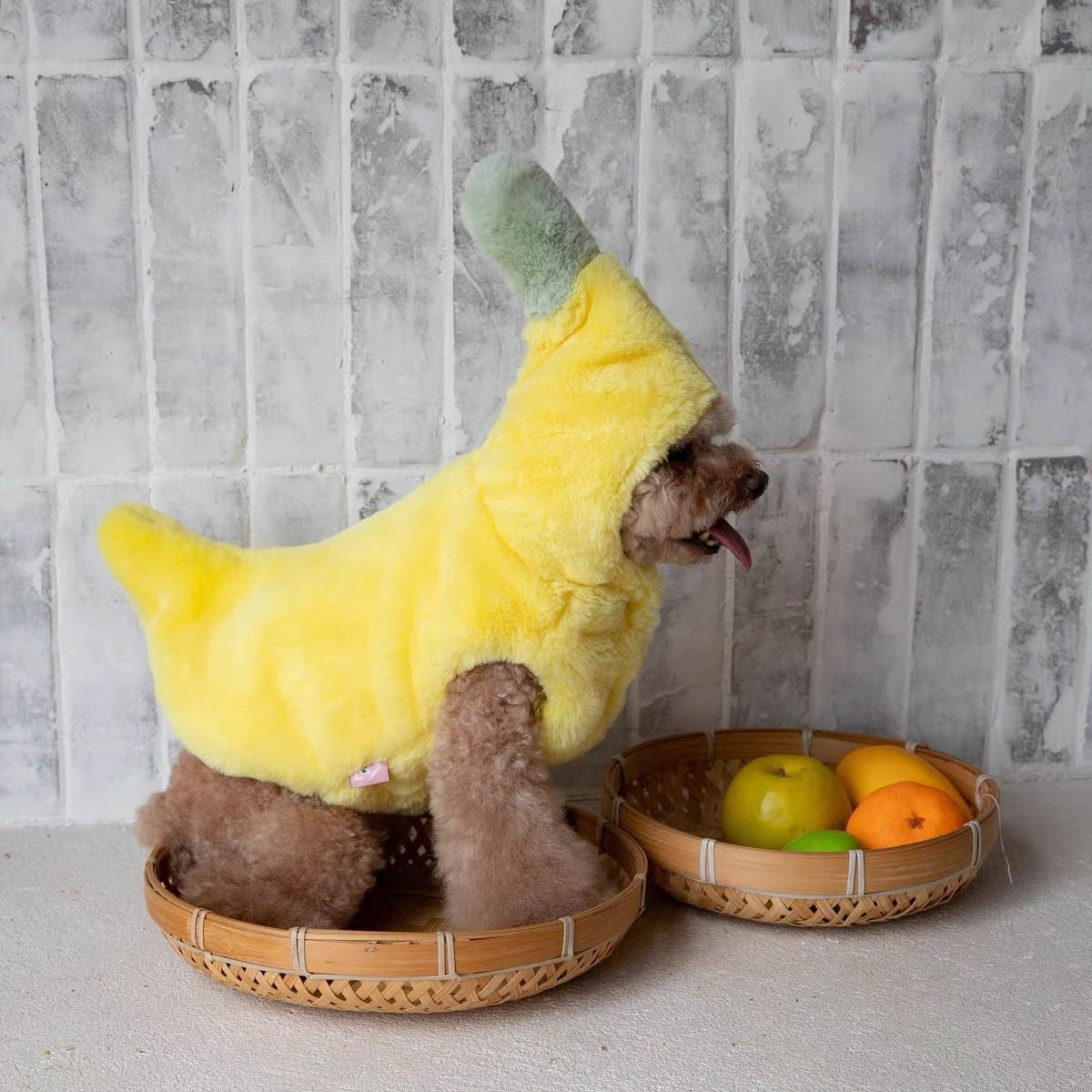 Banana Bliss Plush Dog Hoodie