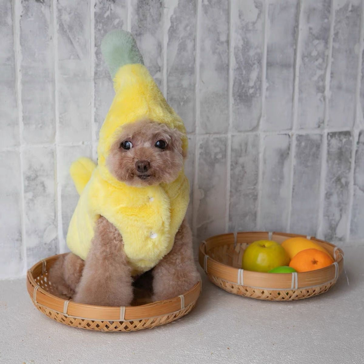 Banana Bliss Plush Dog Hoodie