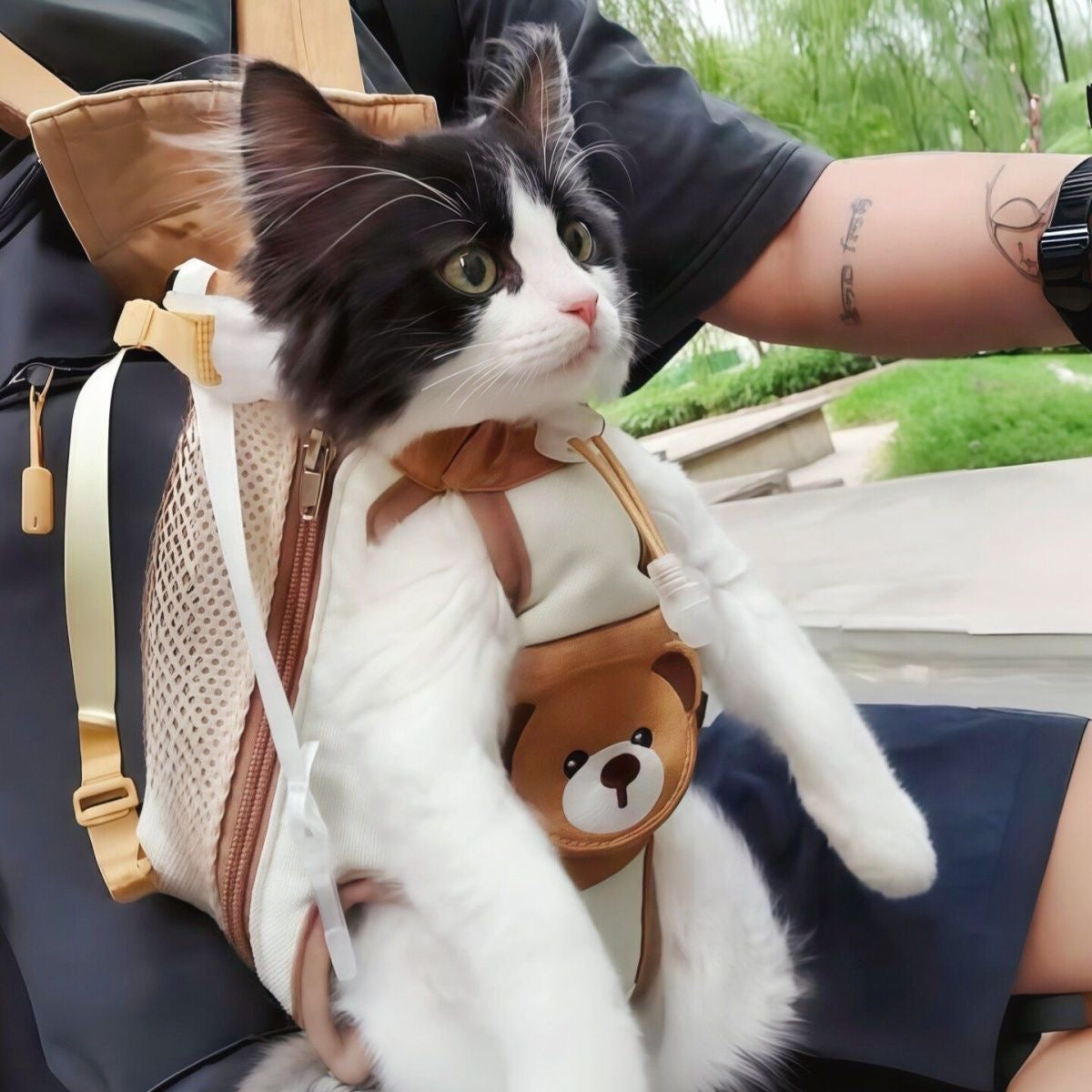 Teddy Pet Carrier